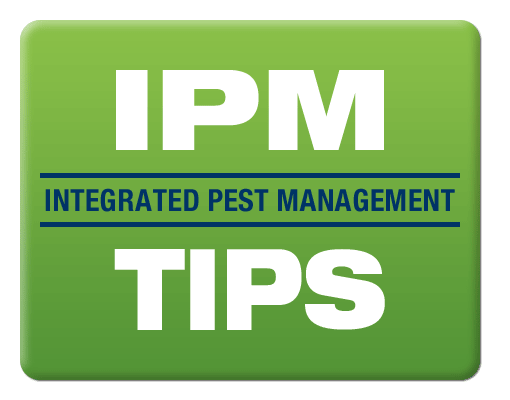 IPM TIPS